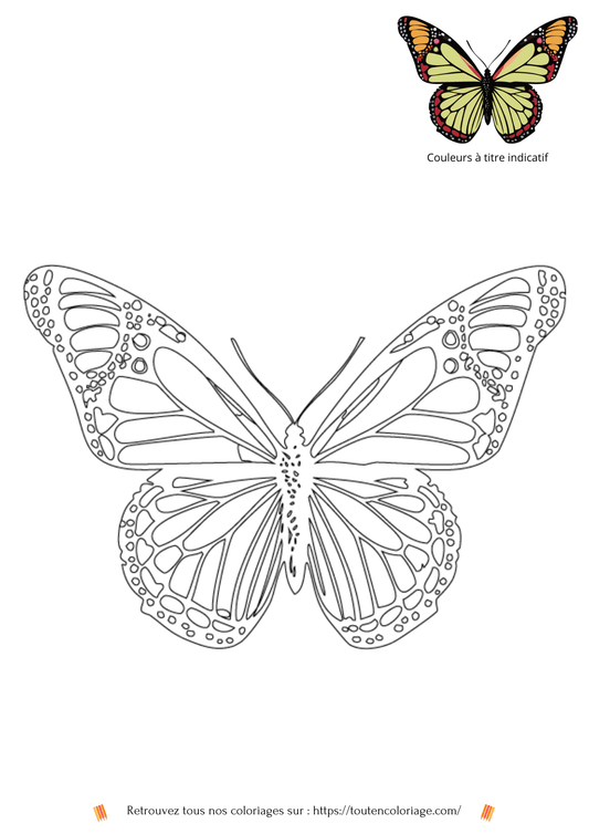 Coloriage d'animaux, Papillon jaune à colorier pour enfants et adultes de tout âges, PDF téléchargeable sur toutencoloriage.com