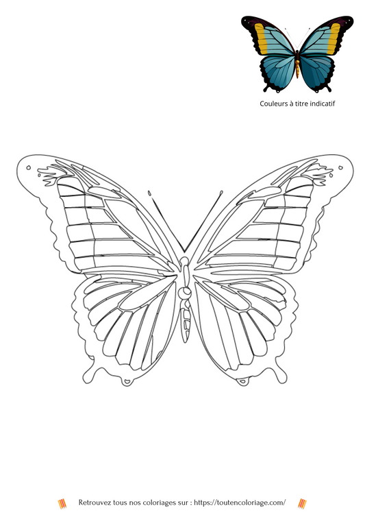 Papillon Bleu Foncé - PDF à Imprimer