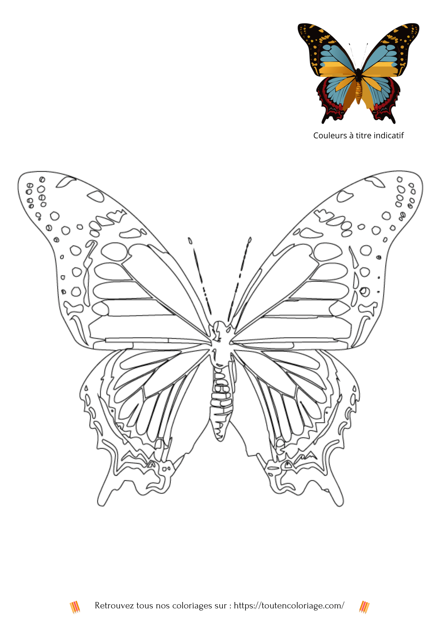 Coloriage d'animaux, Papillon à colorier pour enfants et adultes de tout âges, PDF téléchargeable sur toutencoloriage.com