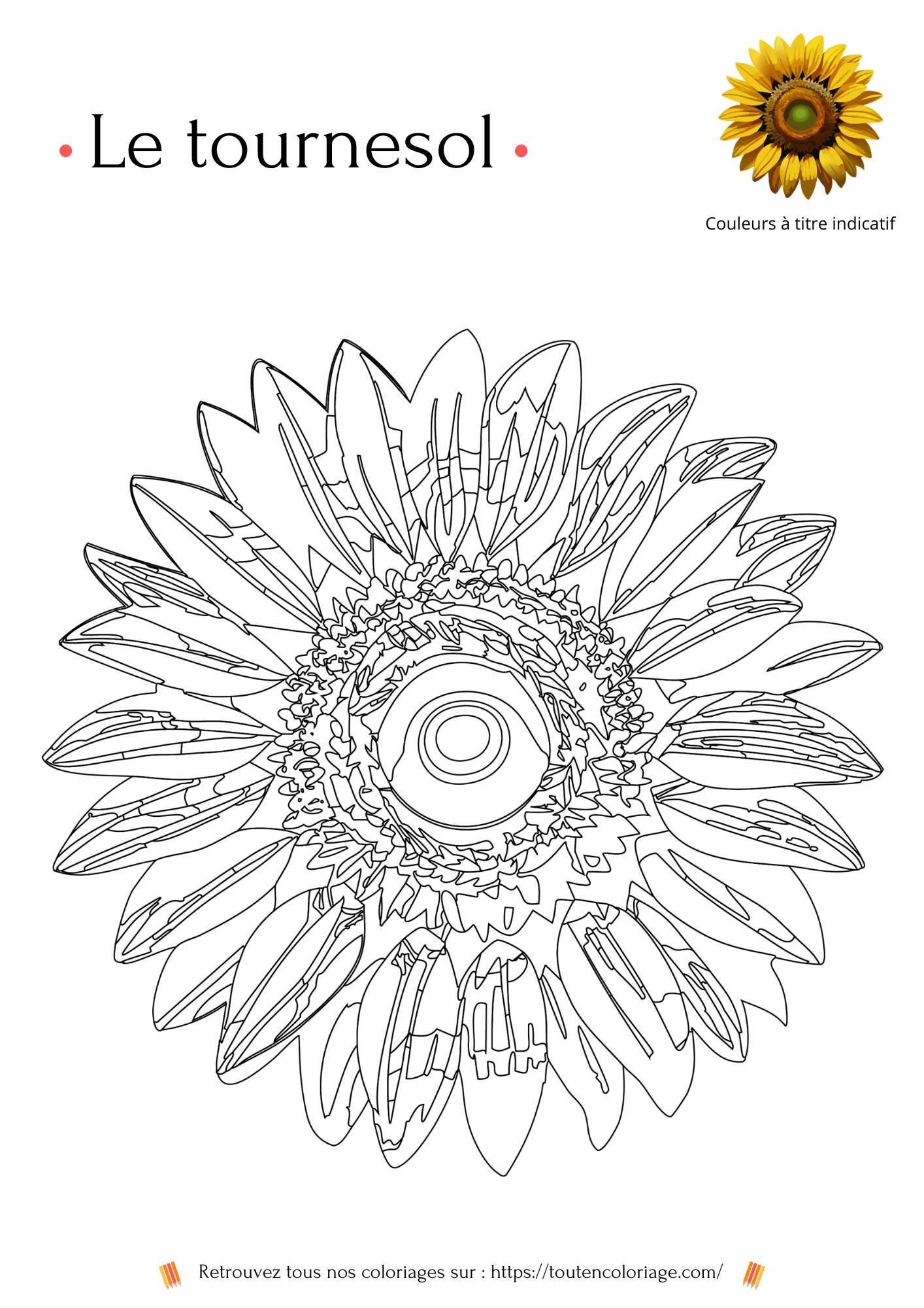 Livre de coloriage sur les fleurs, Lys, Jonquille, Tournesol et autres Roses à colorier pour enfants et adultes de tout âges, PDF téléchargeable sur toutencoloriage.com