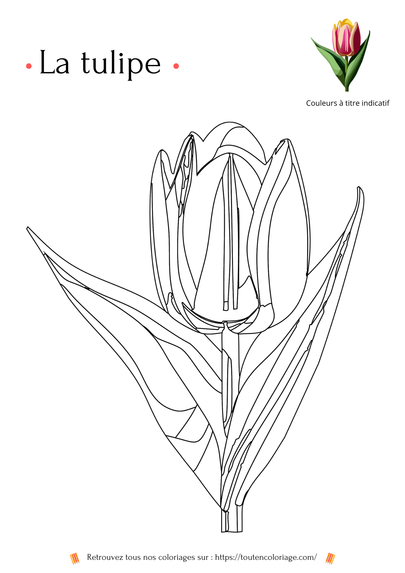 Livre de coloriage sur les fleurs, Lys, Jonquille, Tournesol, Tulipe et autres Roses à colorier pour enfants et adultes de tout âges, PDF téléchargeable sur toutencoloriage.com